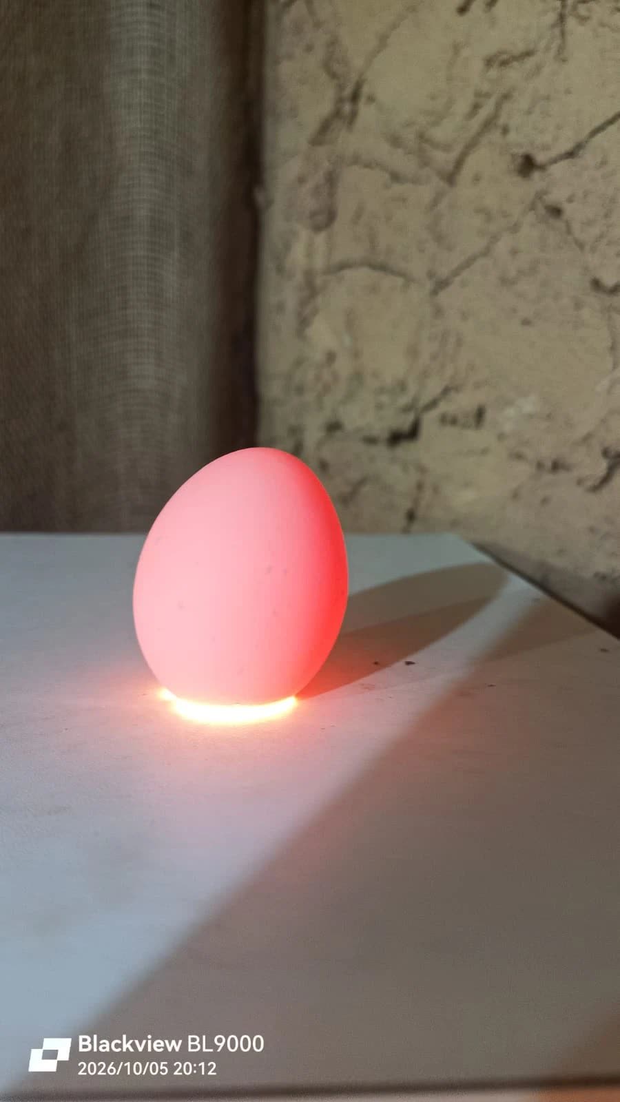 Ovo contra a luz na ovoscopia