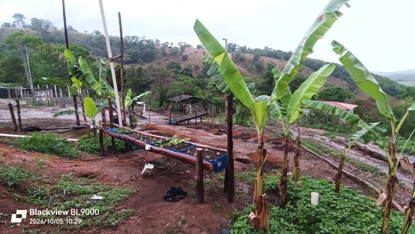 Círculo de bananeiras, horta suspensa e fossa da Célula Raiz, lado a lado