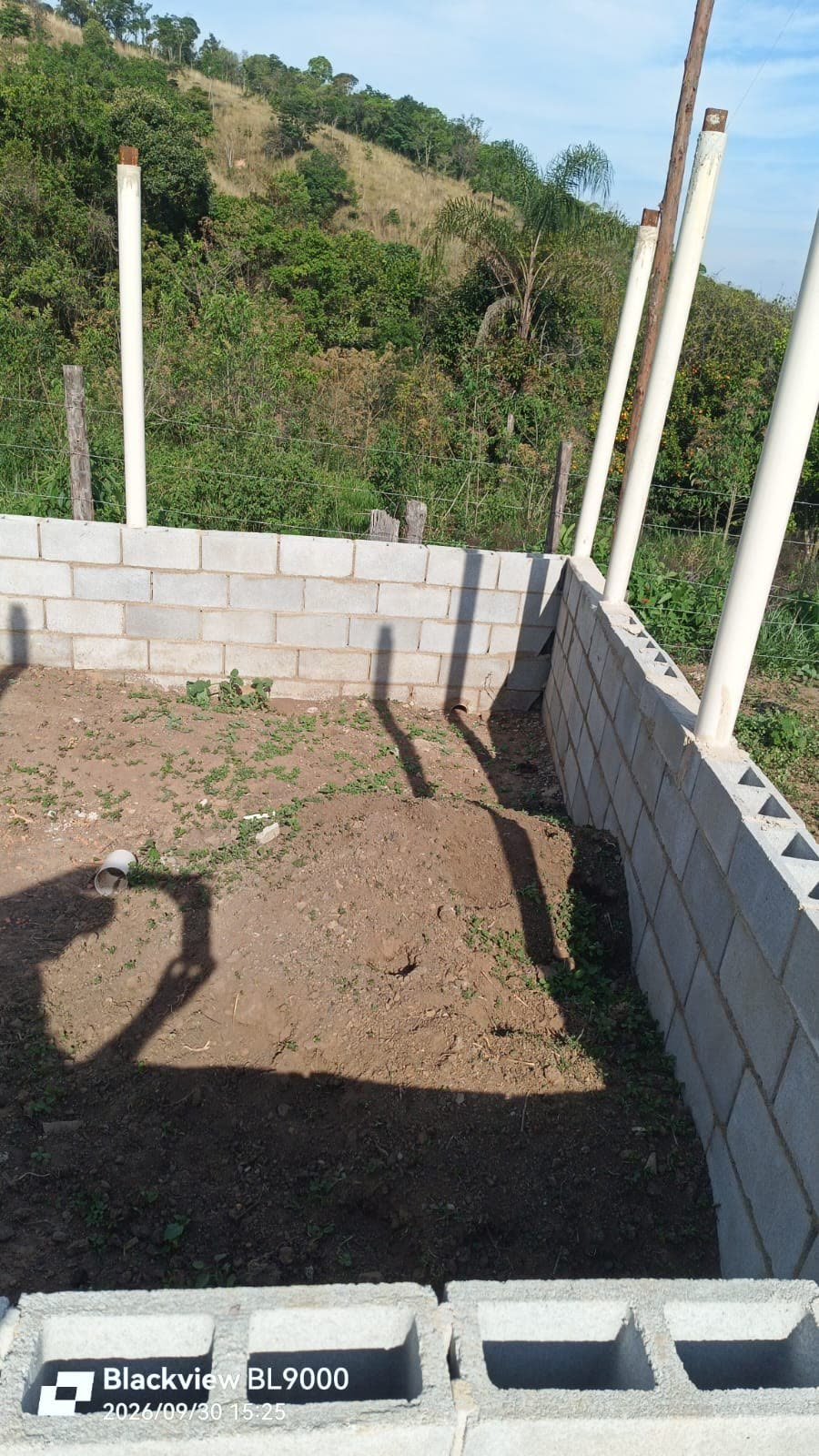 Composto em maturação